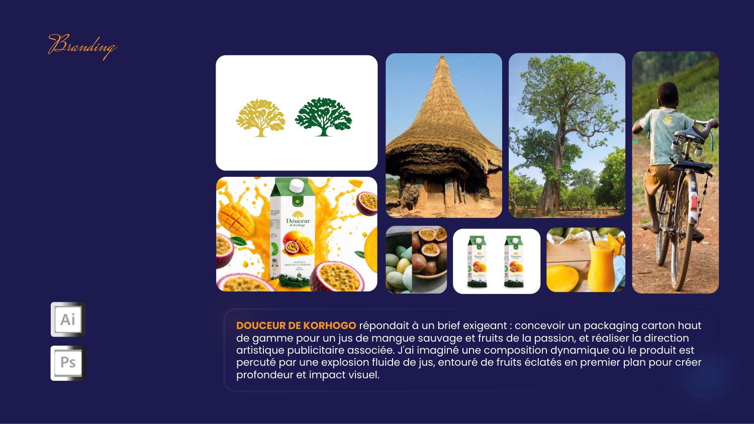 DOUCEUR DE KORHOGO — aperçu du projet